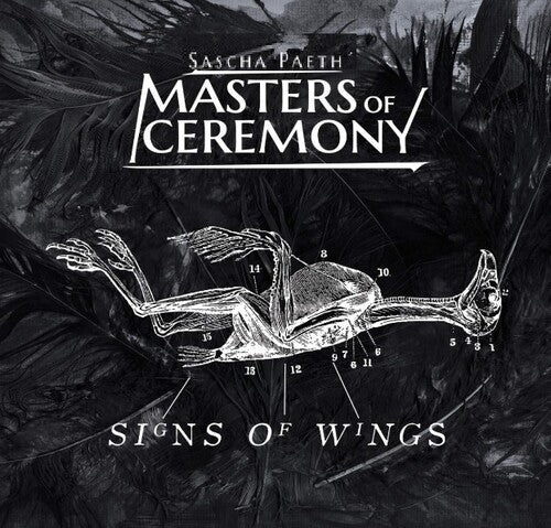 Signs of Wings { vinyl }