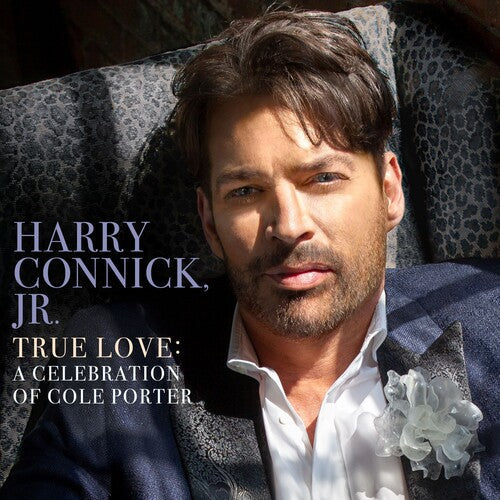 True Love: a Celebration of Cole Porter { vinyl }