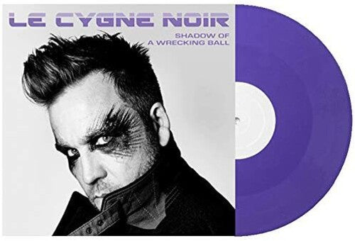 Shadow of a Wrecking Ball { vinyl }