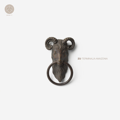 Terminalia Amazonia { vinyl }