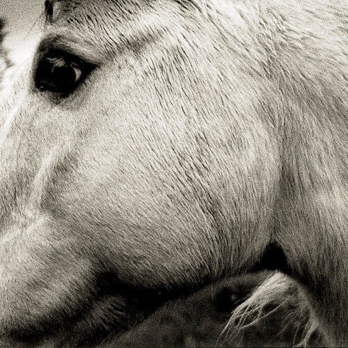 Bonny Light Horseman { vinyl }
