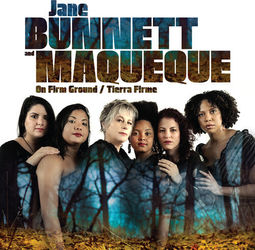 On Firm Ground / Tierra Firme { vinyl }