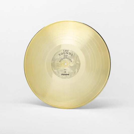 Joywave - Possession (LP) { vinyl }