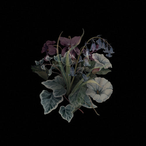 Wildflowers { vinyl }