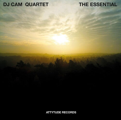 Essential { vinyl }