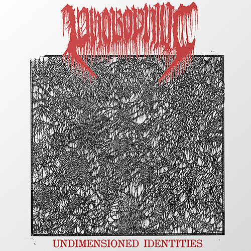 Undimensioned Identities { vinyl }