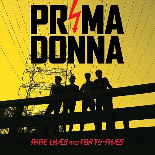Nine Lives And Forty Fives { vinyl }
