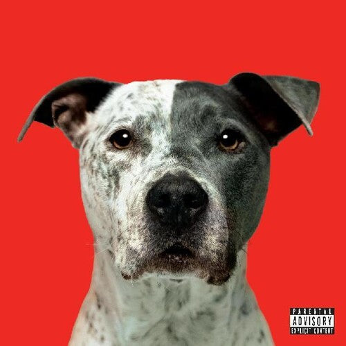 Flight { vinyl }
