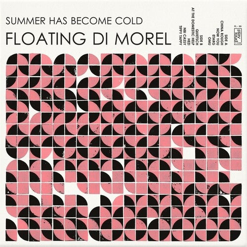 Summer Has Become Cold { vinyl }