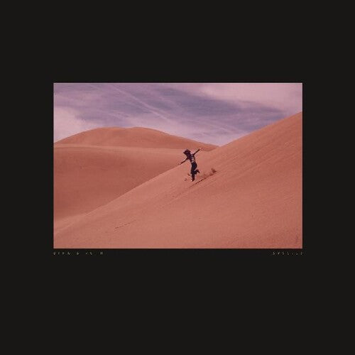 Bing & Ruth - Species { vinyl }