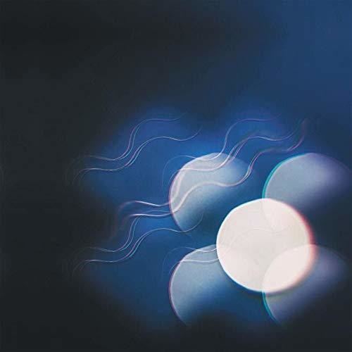 Thunder Follows the Light { vinyl }