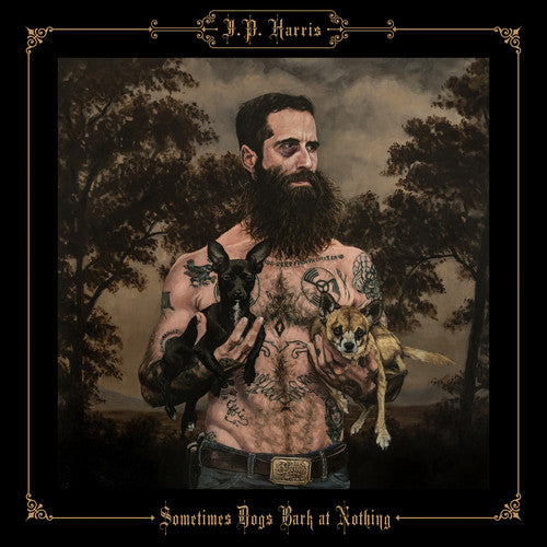 Sometimes Dogs Bark At Nothing { vinyl }