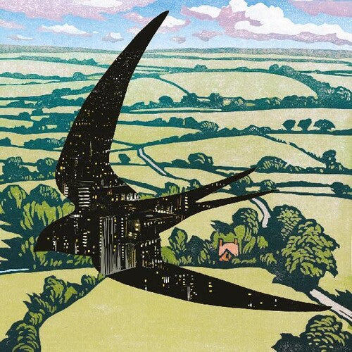 Sleep on the Wing { vinyl }