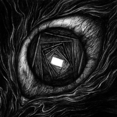 Vitrun { vinyl }