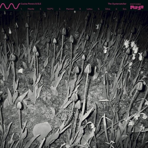 Oystercatcher { vinyl }