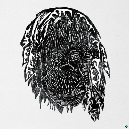 Raise the Ark { vinyl }