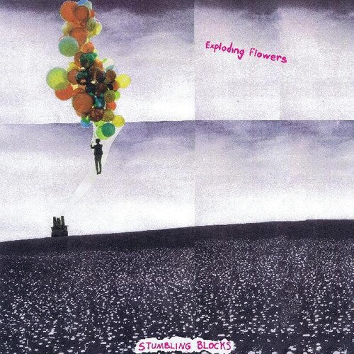 Stumbling Blocks { vinyl }