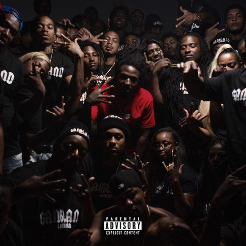 Gangland Landlord { vinyl }