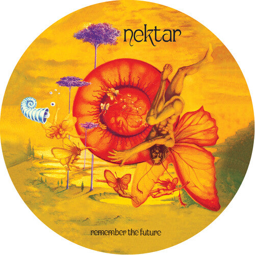 Remember the Future { vinyl }