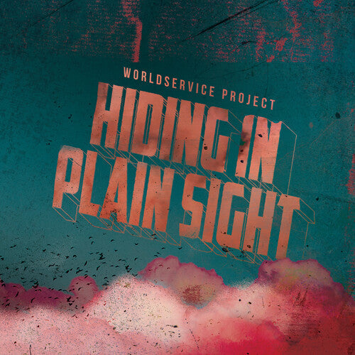 Hiding In Plain Sight { vinyl }
