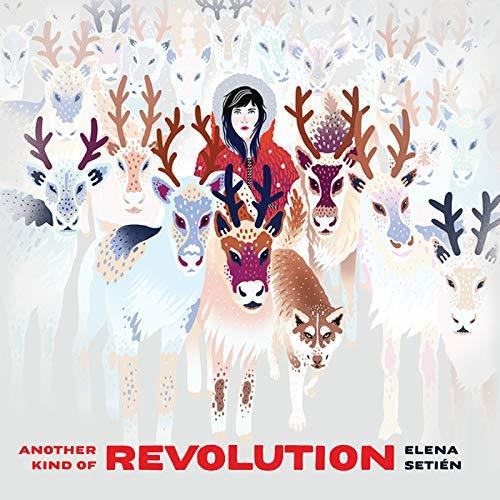 Another Kind of Revolution { vinyl }