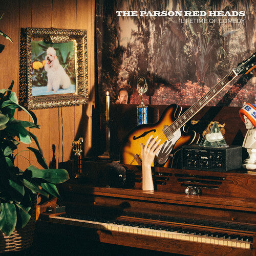 Lifetime of Comedy { vinyl }