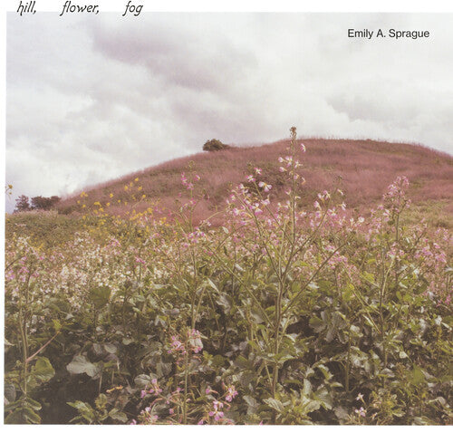 Hill Flower Fog { vinyl }
