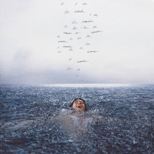 Wonder { vinyl }