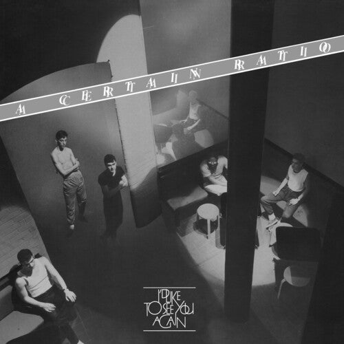 I'd Like to See You Again { vinyl }