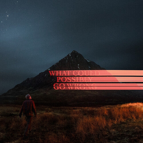 Dominic Fike - What Could Possibly Go Wrong { vinyl }
