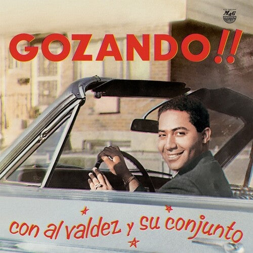Gozando { vinyl }