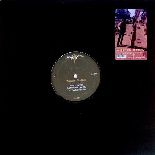 Webster Station { vinyl }