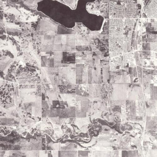 Women - Rarities 2007-2010 (Indie Exclusive) (Indie Exclusive) { vinyl }