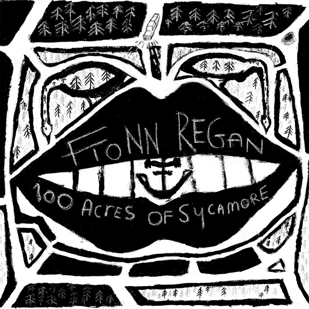 Fionn Regan - 100 Acres Of Sycamore (LP) { vinyl }