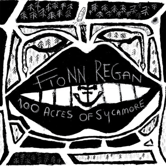 Fionn Regan - 100 Acres Of Sycamore (LP) { vinyl }