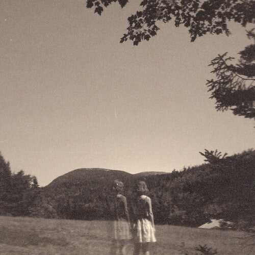 Goldmund - The Malady Of Elegance { vinyl }