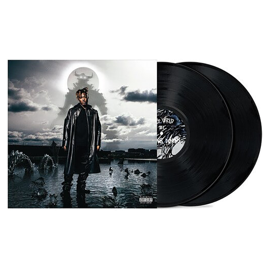 Fighting Demons { vinyl }