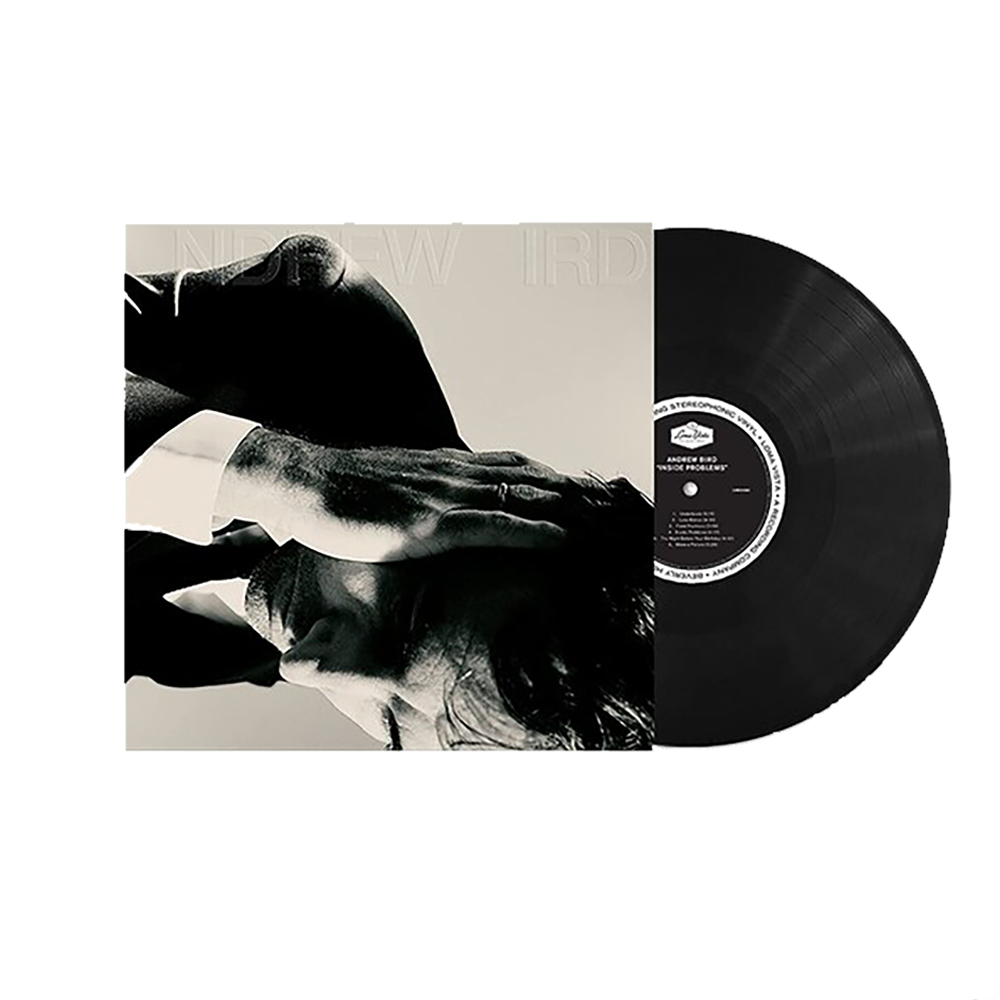 Inside Problems { vinyl }