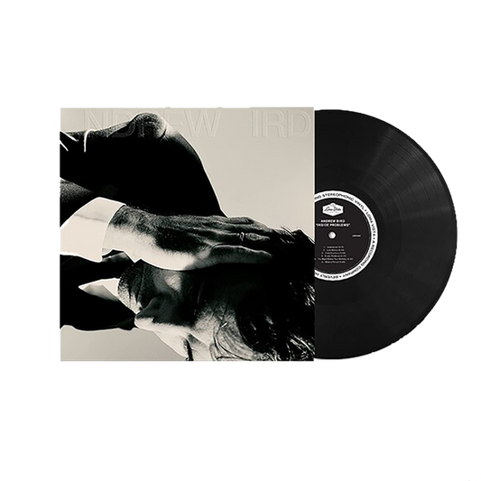 Inside Problems { vinyl }