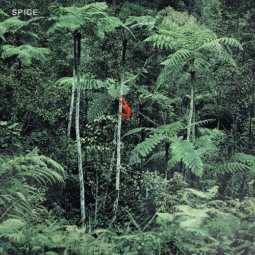 Spice - Spice - Grey (Vinyl) { vinyl }