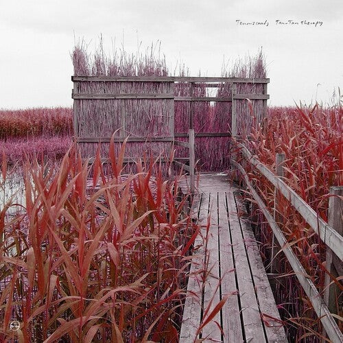 Tenniscoats - Tan-Tan Therapy { vinyl }