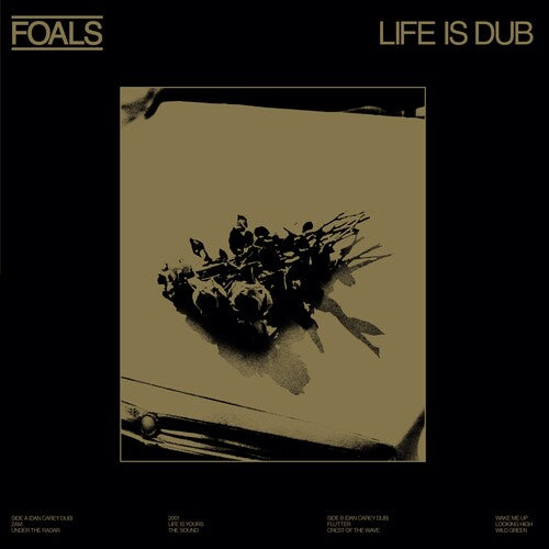Foals - Life Is Dub (Vinyl) { vinyl }