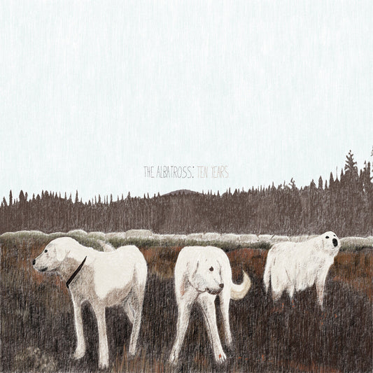 Foxing - Albatross: Ten Years (Brwn) (Colored Vinyl) { vinyl }