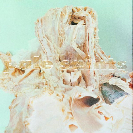 Pale Saints - In Ribbons (LP) { vinyl }