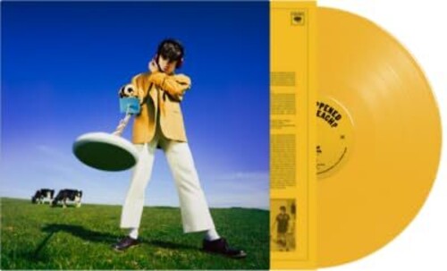 Declan McKenna - What Happened To The Beach? (Vinyl) { vinyl }