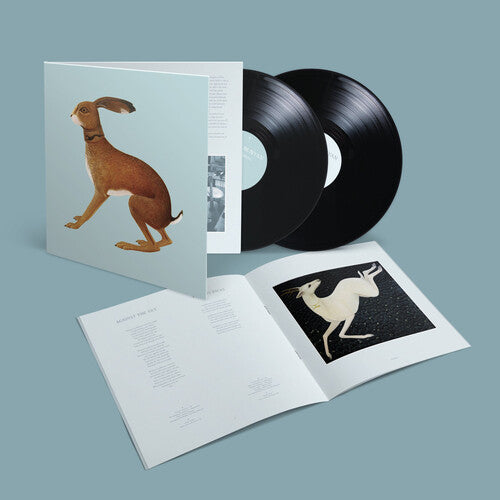 Vashti Bunyan - Lookaftering - Expanded (Vinyl) { vinyl }