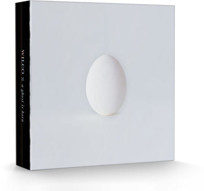 Wilco - A Ghost Is Born  (9LP/4CD box set) (Vinyl) { vinyl }