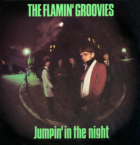 Flamin' Groovies - Jumpin' In The Night (Vinyl) { vinyl }