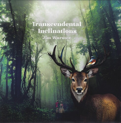 Jim Wurster - Transcendental Inclinations (Vinyl) { vinyl }