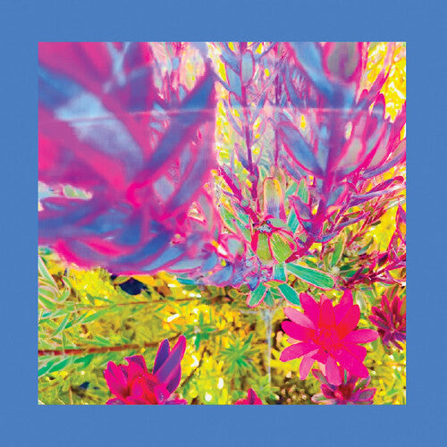 Reds Pinks & Purples - The Past is a Garden I Never Fed (Vinyl) { vinyl }